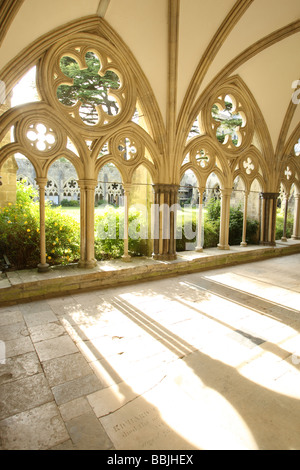 The Cloisters, Salisbury Cathedral, Wiltshire, England Stock Photo