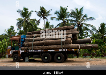 Deforestation Trucks loaded with logs in India Stock Photo