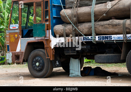 Deforestation Trucks loaded with logs in India Stock Photo