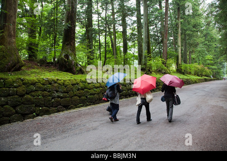 Small group of Japanese visitors on the mossy trail leading to Toshogu Shrine Stock Photo