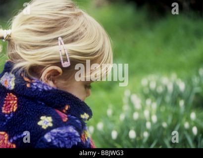 Toddler looking at snowdrops in a garden, Cornwall, UK Stock Photo