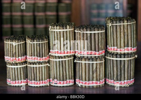 Burmese Cheroots at a small cottage industry Cheroot Factory in Tuanggyi town, Myanmar Stock Photo