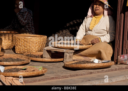 Burmese women sorting tea leaves in Hsipaw town, Myanmar (Burma) Stock Photo