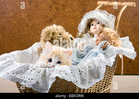 Six weeks old kitten and dolls in a cradle Stock Photo
