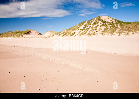 Sand Dunes, Lunan Bay, Angus, Scotland Stock Photo