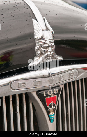 Front badge of a Rover 100, with light rain. Stock Photo