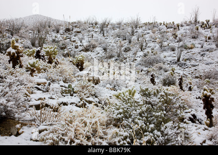 Snow in Anza Borrego Desert State Park California Stock Photo