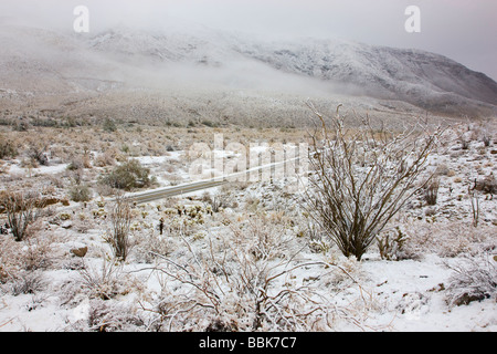 Snow in Anza Borrego Desert State Park California Stock Photo