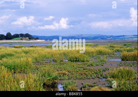 Morecambe Bay from Bardsea, Cumbria coast England English coastal scenery UK mud flats Stock Photo
