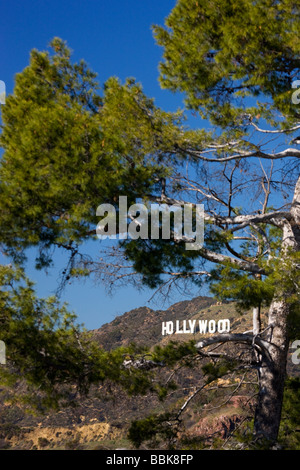 The Hollywood sign from Griffith Observatory Los Angeles California Stock Photo