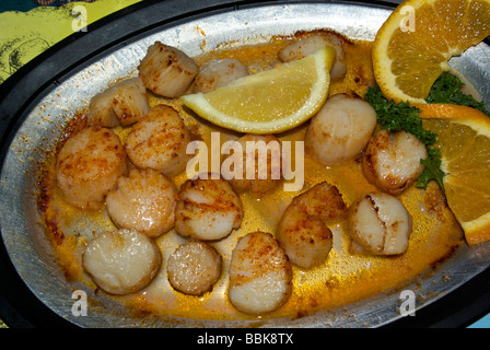 Pan seared paprika dusted scallops in lemon butter sauce Stock Photo