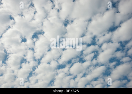 Abstract detail of mackerel sky suitable for background Stock Photo