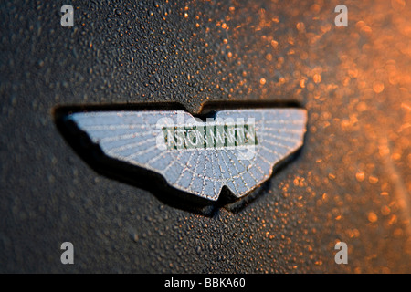 Aston Martin V8 Vantage in the morning sunlight Stock Photo