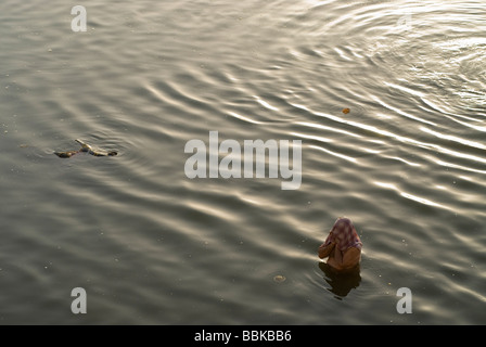 Holy man (brahmin) praying in the river Ganges, holy for the Hindu. Bathing ghats, Varanasi, India. Stock Photo