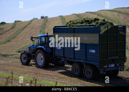 tractor towing trailer full of grass cut for silage production in a field county down northern ireland uk Stock Photo