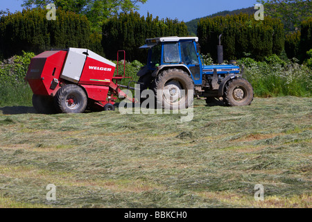 tractor towing baler collects grass cut for silage production county down northern ireland uk Stock Photo