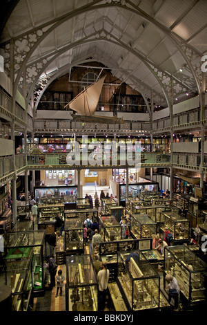 Pitt Rivers archeological and anthropological museum at Oxford University England Stock Photo