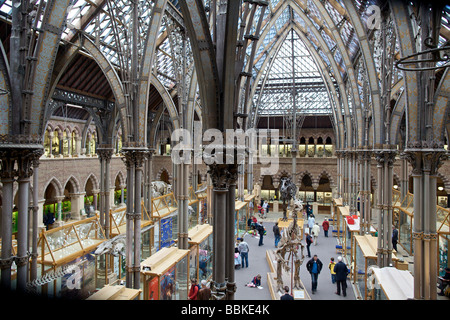 Oxford University Museum of Natural History England Stock Photo