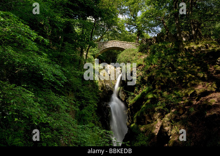 Aira Force Waterfall near Ullswater in the English Lake District, Cumbria Stock Photo