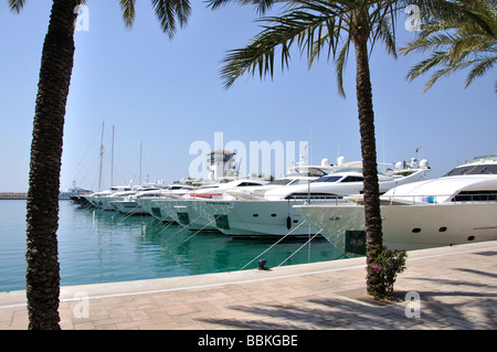 Marina view, Puerto Portals, Portal Nous / Bendinat, Mallorca, Balearic Islands, Spain Stock Photo