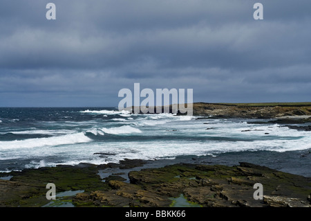 dh Bay of Ryasgeo NORTH RONALDSAY ORKNEY The Staff headland stormy weather white waves and rocky coastline