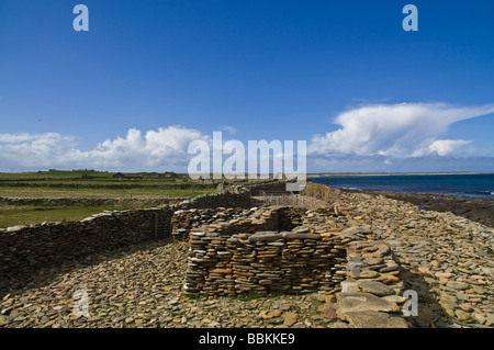 dh Brides Ness NORTH RONALDSAY ORKNEY North Ronaldsay stone sheep enclosures Stock Photo