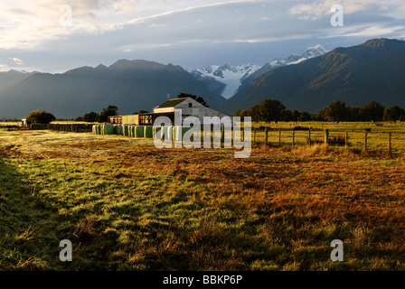 landscape scenes showing farmland near Fox Glacier Stock Photo