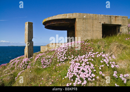 dh Hoxa Head SOUTH RONALDSAY ORKNEY World War II gun searchlight platform position pillbox seapinks battery Stock Photo