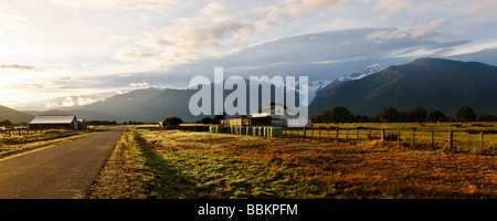 landscape scenes showing farmland near Fox Glacier Stock Photo