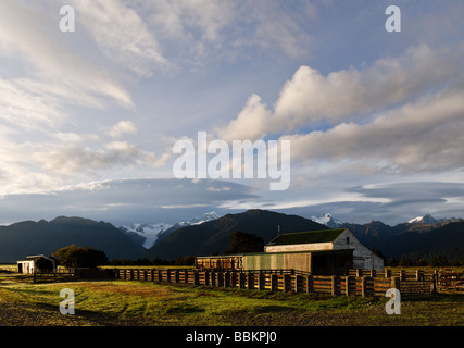 landscape scenes showing farmland near Fox Glacier Stock Photo