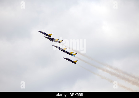 Ferte Alais Breitling Jet Team Stock Photo