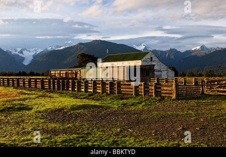 landscape scenes showing farmland near Fox Glacier Stock Photo