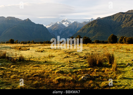 landscape scenes showing farmland near Fox Glacier Stock Photo