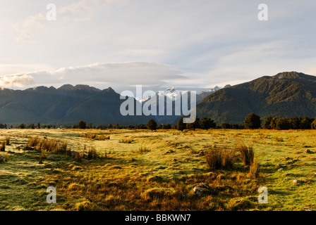 landscape scenes showing farmland near Fox Glacier Stock Photo