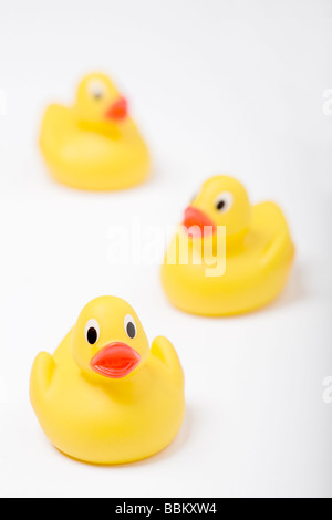 Yellow rubber ducks Stock Photo