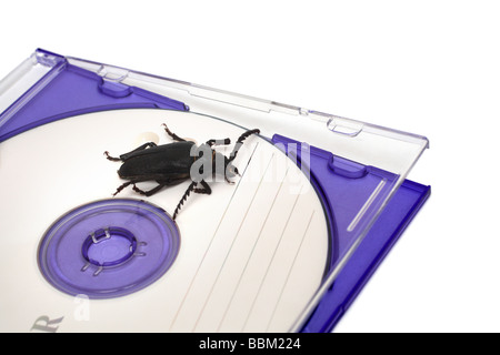 bug in software metaphor concept Stock Photo