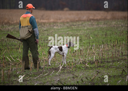 Bird hunter and hound in cut corn field. Stock Photo