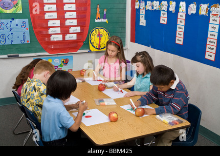 Elementary students art class kindergarten multi ethnic racial diversity diverse classroom pictures of apples art.MR  © Myrleen Pearson Stock Photo
