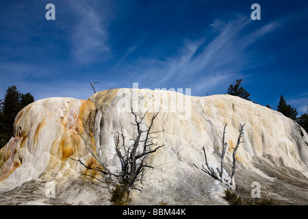 Orange Spring Travertine Mound Mammoth Hot Springs Yellowstone National Park Wyoming USA, horizontal Stock Photo