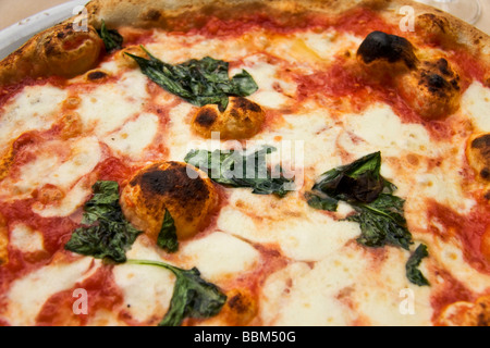 Neapolitan Pizza margherita with buffalo mozzarella famous from Naples Campania Italy Stock Photo
