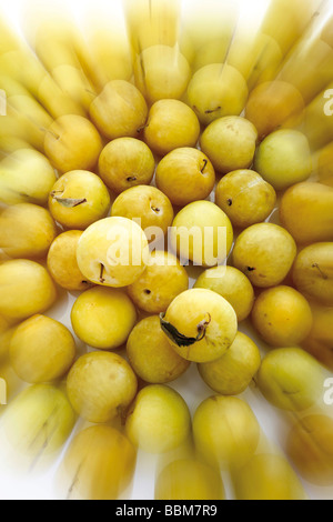 Yellow plums Stock Photo