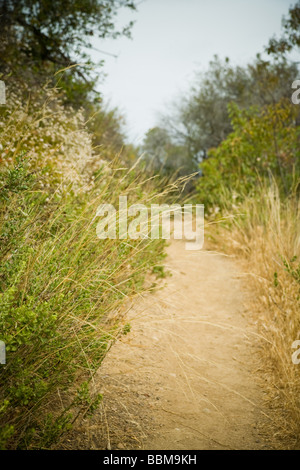 Hiker on the Backbone Trail in the Santa Monica Mountains Stock Photo