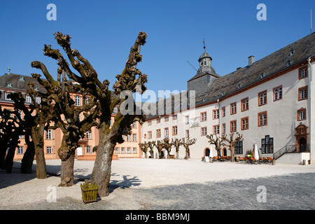 Castle square with cut willows and north wing, Berleburg Castle, Bad Berleburg, district of Siegen-Wittgenstein, Rothaarsteig,  Stock Photo