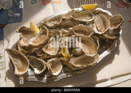Elk204 CN32 France plate of oysters on the half shell Stock Photo