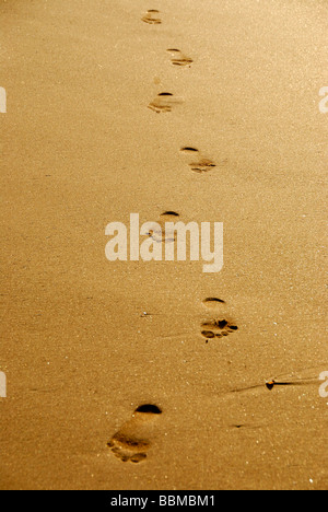 Foot prints in sand, trails in the sand, Ceylon, Sri Lanka, South Asia Stock Photo