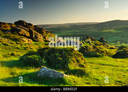 Honeybag Tor in the late evening Sun Dartmoor national park Devon England UK Stock Photo