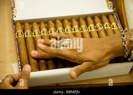 Upmann Havana sigaro cubano Foto stock - Alamy