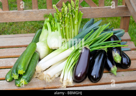 Green asparagus, eggplants, zucchini, spring onions, fennel, leeks Stock Photo