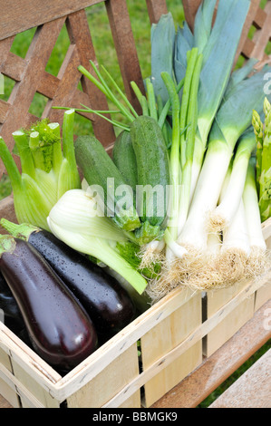 Green asparagus, eggplants, zucchini, spring onions, fennel, leeks in a basket Stock Photo