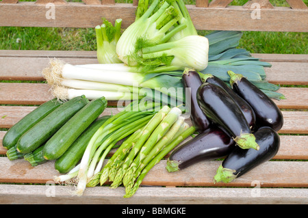 Green asparagus, eggplants, zucchini, spring onions, fennel, leeks Stock Photo